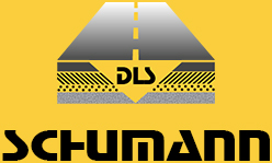 Logo DLS Schumann